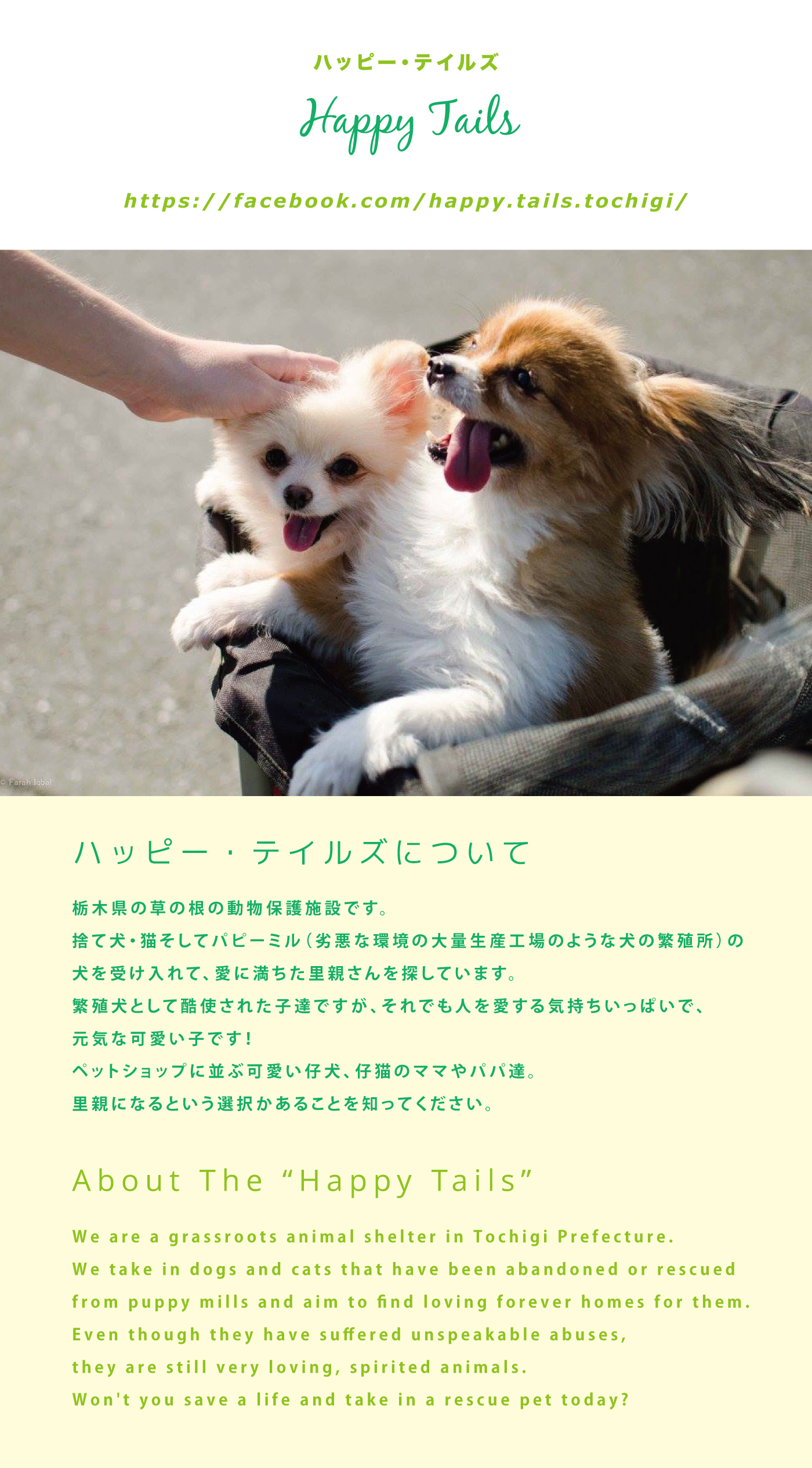 Happy Tails ハッピー・テイルズ。栃木県の草の根の動物保護施設です。捨て犬・猫そしてパピーミル（劣悪な環境の大量生産工場のような犬の繁殖所）の犬を受け入れて、愛に満ちた里親さんを探しています。繁殖犬として酷使された子達ですが、それでも人を愛する気持ちいっぱいで、元気な可愛い子です！ペットショップに並ぶ可愛い仔犬、仔猫のママやパパ達。里親になるという選択かあることを知ってください。